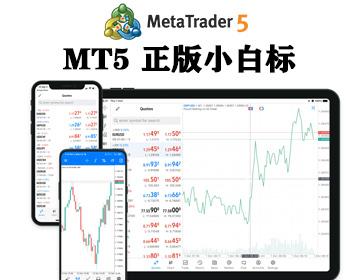外汇MT5正版小白标 搭建MetaTrader 5